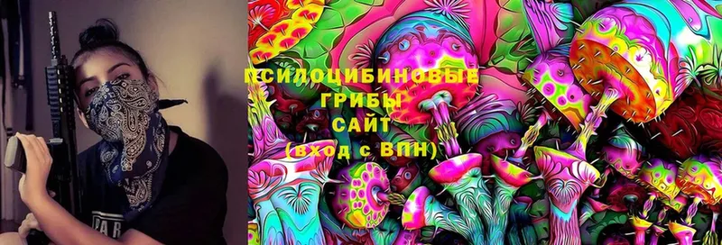 Псилоцибиновые грибы мухоморы  Вяземский 